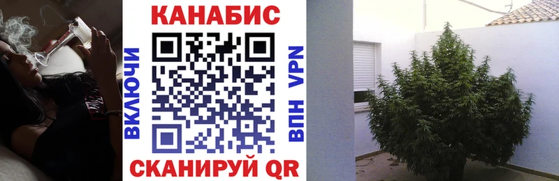 Шишки марихуана Bruce Banner  Купить  Рузаевка 